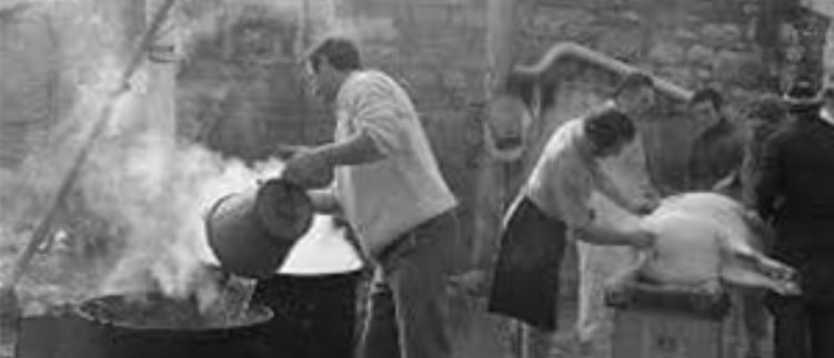 Img La “pista” o “salata” Rubrica: la domenica di Mario Monachesi